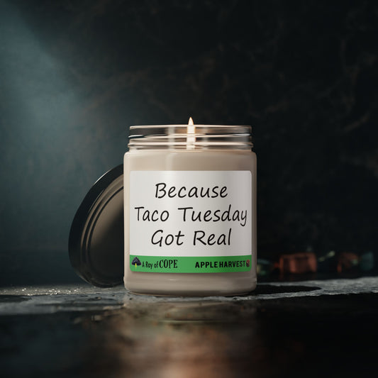 Because Taco Tuesday Got Real | 9oz Soy Wax Scented Candle